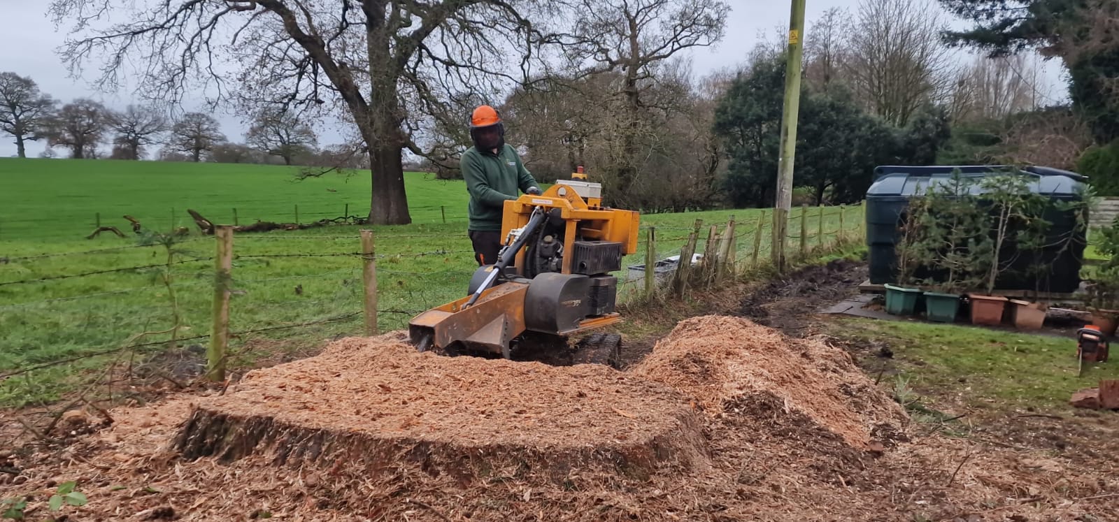 Tree stump removal East London service